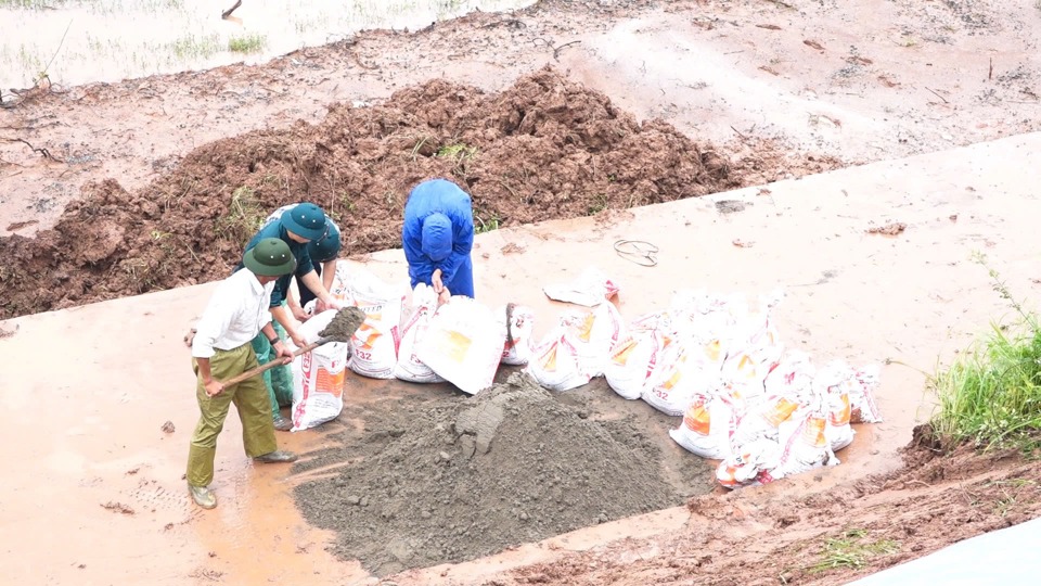 Lực lượng chức năng huyện Thanh Oai gia cố đ&ecirc; tả Đ&aacute;y đoạn qua địa b&agrave;n x&atilde; Thanh Cao. (Ảnh: &Aacute;nh Ngọc)