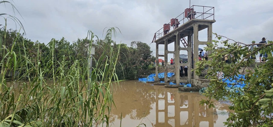 Khu vực biển Vinh Quang, huyện Ti&ecirc;n L&atilde;ng, Hải Ph&ograve;ng. Ảnh: Vĩnh Qu&acirc;n