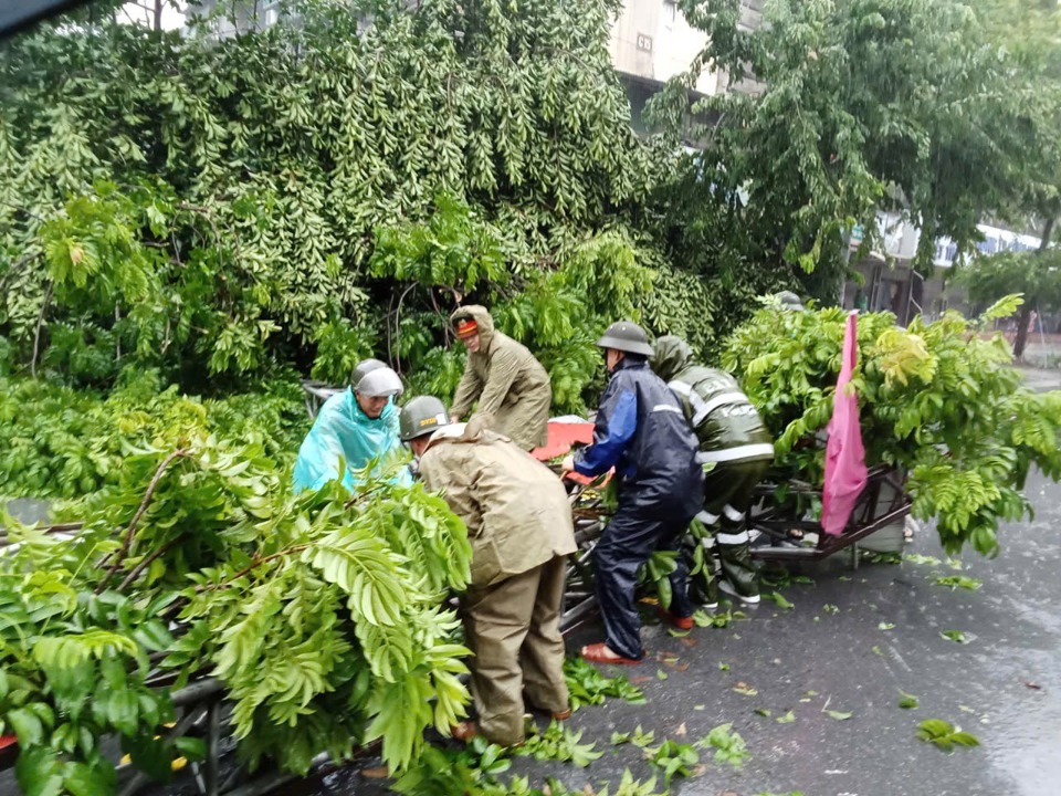 C&ocirc;ng an v&agrave; c&aacute;c lực lượng t&iacute;ch cực giải toả c&acirc;y bị g&atilde;y đổ tr&ecirc;n địa b&agrave;n quận Thanh Xu&acirc;n