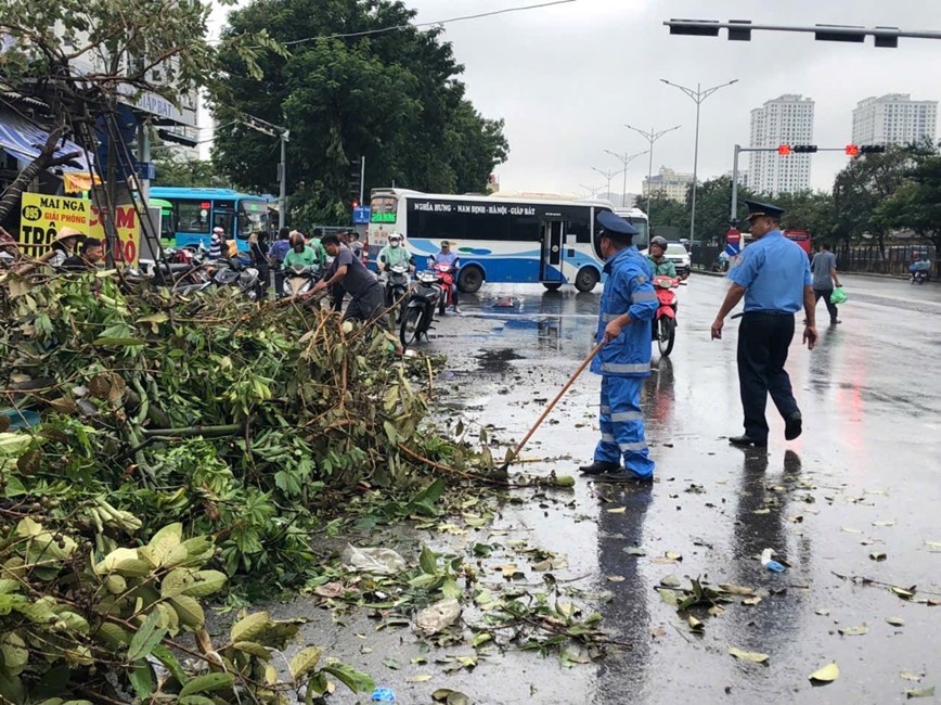 Thanh tra GTVT phối hợp xử l&yacute; c&acirc;y bị gi&oacute; quật ng&atilde; tr&ecirc;n c&aacute;c tuyến đường, hỗ trợ người d&acirc;n đi lại thuận lợi.