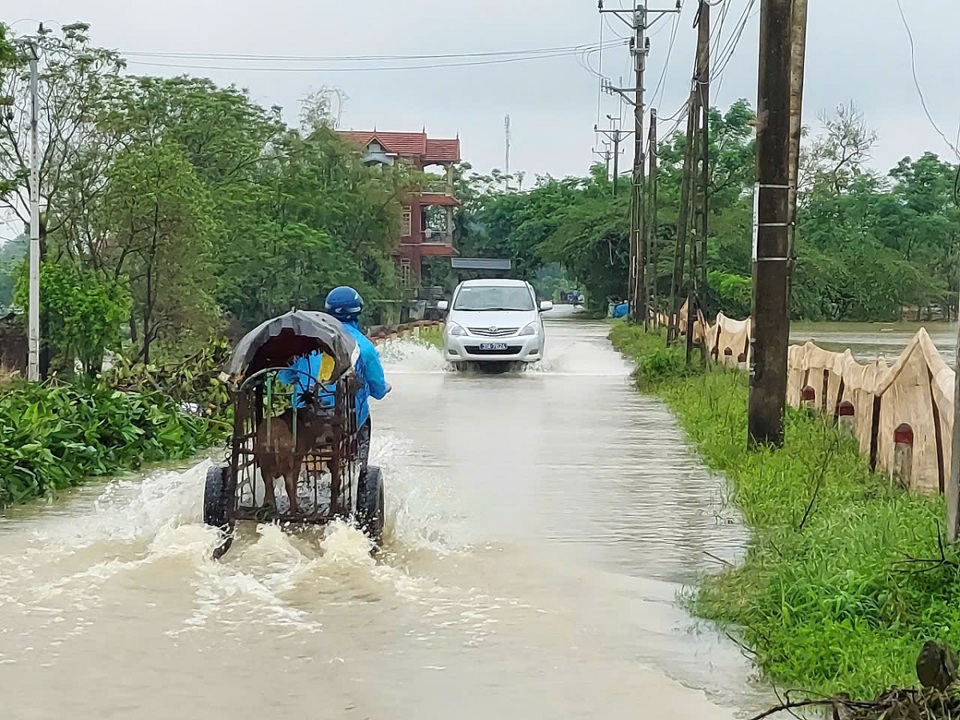 Nước tại đ&ecirc; B&ugrave;i 1, x&atilde; Nam Phương Tiến đ&atilde; tr&agrave;n bờ (ảnh chụp trưa 10/9)