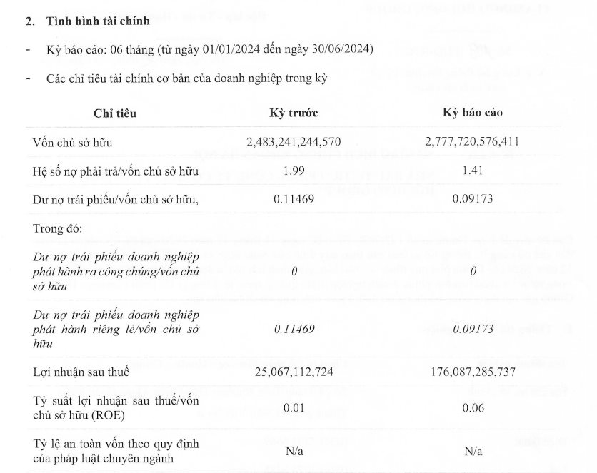 Nửa đầu năm 2024, Flamingo Holdings báo lãi gấp 7 lần cùng kỳ - Ảnh 1