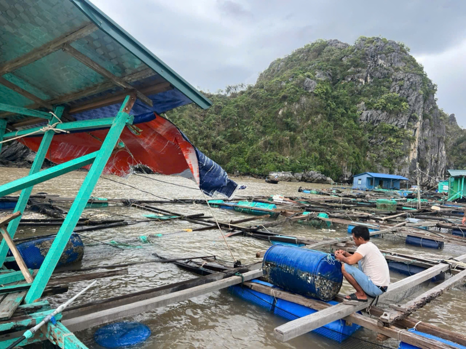 Huyện C&aacute;t Hải tang thương sau b&atilde;o số 3. Ảnh: CTV