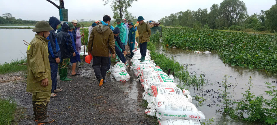 Huyện Thường Tín và Phú Xuyên tập trung ứng phó lũ lớn trên các tuyến sông - Ảnh 1