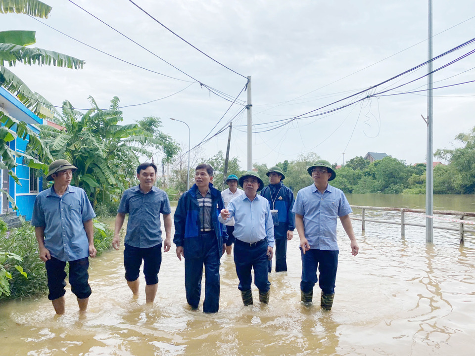 L&atilde;nh đạo huyện Thạch Thất đi kiểm tra, chỉ đạo c&ocirc;ng t&aacute;c&nbsp;triển khai ứng ph&oacute; v&agrave; khắc phục hậu quả của cơn b&atilde;o số 3. Ảnh: N.M.