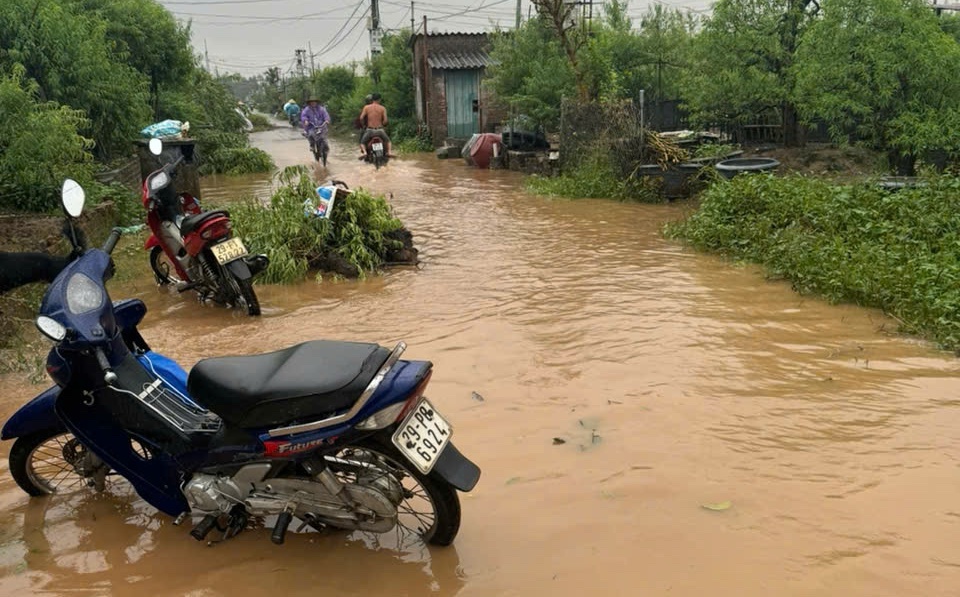 Khu vực ngo&agrave;i đ&ecirc; Nhật T&acirc;n ngập trong nước.