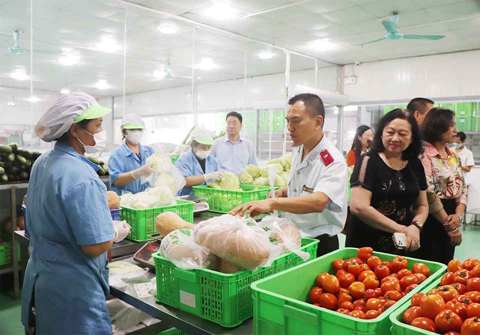 Kiểm tra rau an to&agrave;n tại huyện Thanh Tr&igrave;.