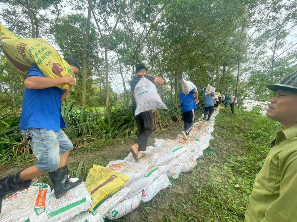 Lực lượng thanh niên huyện Thanh Oai chung tay đóng bao cắt đắp đê ngăn nước