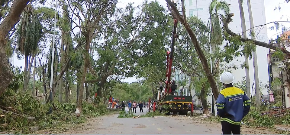 Huy động to&agrave;n lực lượng dọn c&acirc;y gẫy đổ. Ảnh: Vĩnh Qu&acirc;n