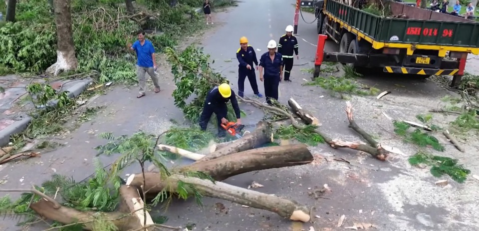 TP Hải Ph&ograve;ng nhanh ch&oacute;ng thu dọn c&acirc;y g&atilde;y đổ.