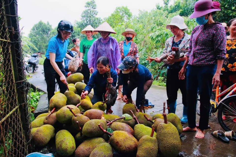 Cán b&ocirc;̣, h&ocirc;̣i vi&ecirc;n phụ nữ huy&ecirc;̣n Đan Phượng giúp người d&acirc;n thu hoạch n&ocirc;ng sản, di chuy&ecirc;̉n đ&ecirc;́n nơi an toàn.