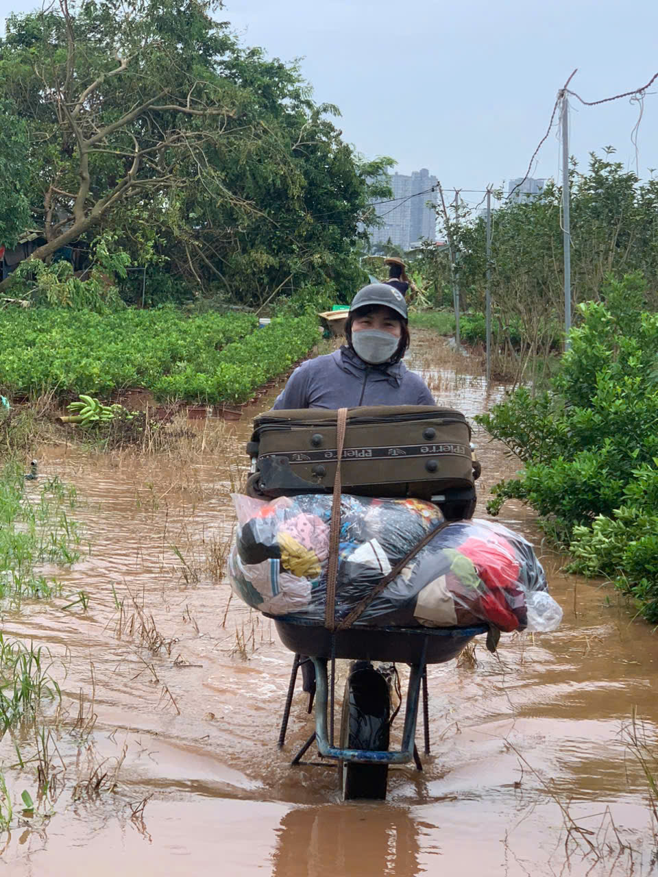 Chị em phụ nữ Ho&agrave;ng Mai hỗ trợ di chuyển t&agrave;i sản của người d&acirc;n ngo&agrave;i b&atilde;i s&ocirc;ng Hồng về nơi an to&agrave;n. Ảnh MA