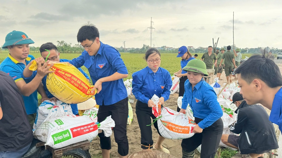 X&atilde; Đỗ Động huy động lực lượng đo&agrave;n vi&ecirc;n, hội vi&ecirc;n, nh&acirc;n d&acirc;n gia cố đoạn k&ecirc;nh sạt lở bằng cọc tre v&agrave; bao tải c&aacute;t. Huyện đo&agrave;n Thanh Oai đ&atilde; hỗ trợ x&atilde; gia cố k&ecirc;nh Y&ecirc;n Cốc.