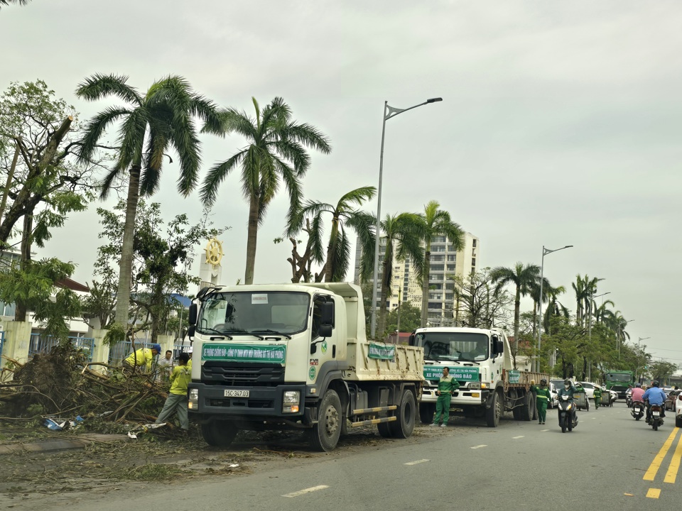 Hải Phòng: huy động 300 cán bộ, chiến sĩ cùng ra quân thu gom cây đổ - Ảnh 1