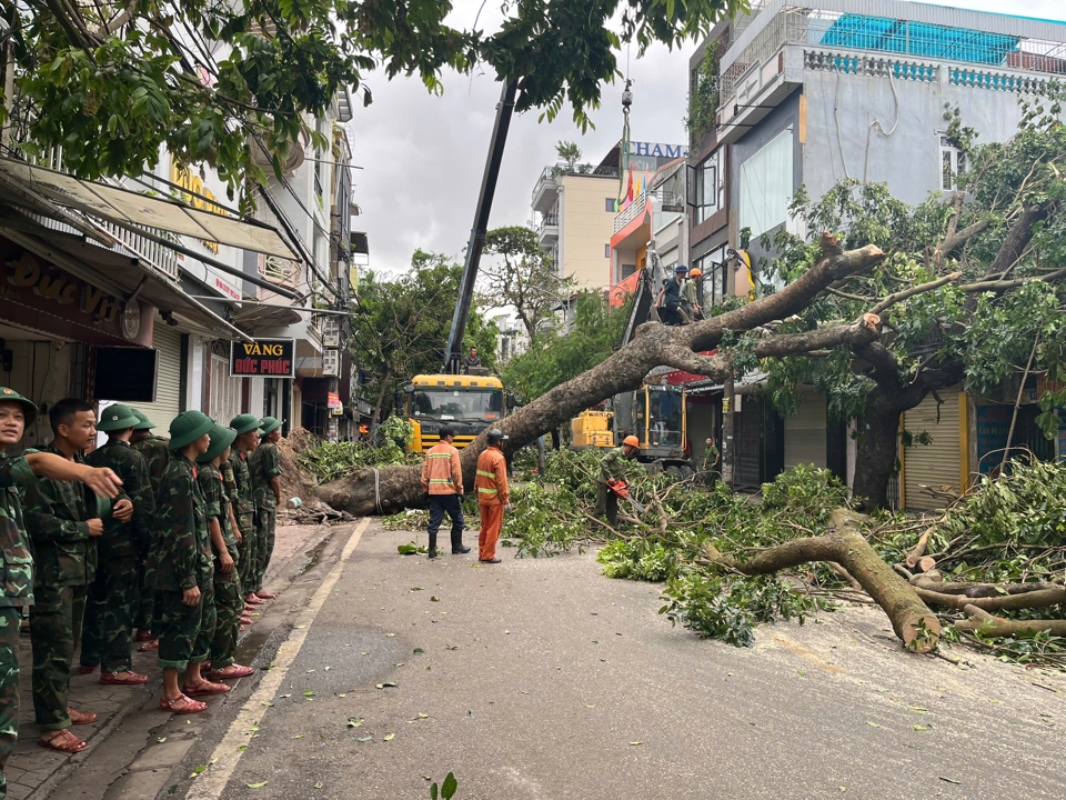 C&aacute;c lực lượng chức năng c&ugrave;ng thu dọn c&acirc;y đổ. Ảnh: Vĩnh Qu&acirc;n