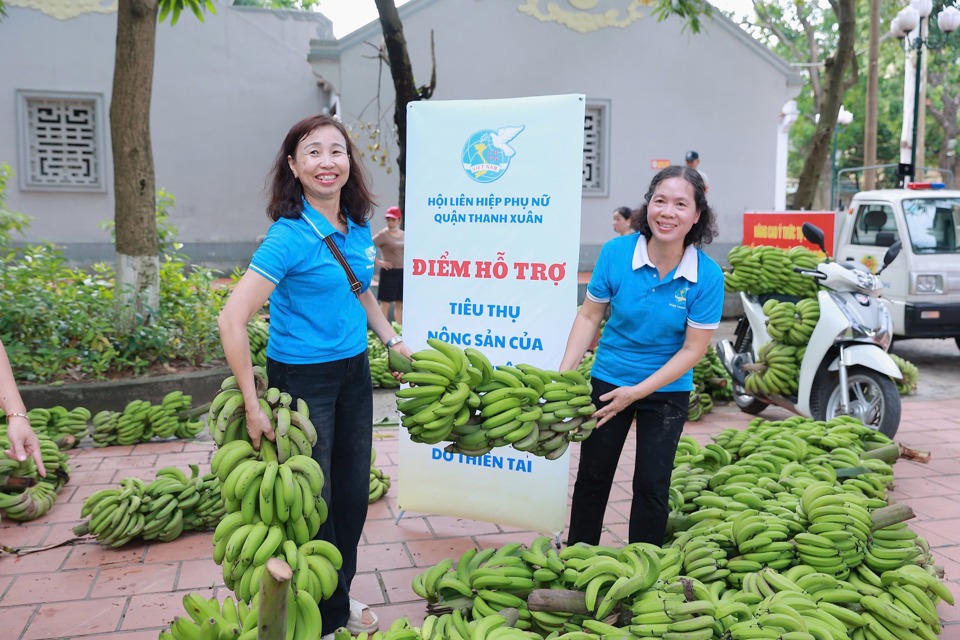 Ng&agrave;y 12/9, ngay trong ng&agrave;y đầu ti&ecirc;u của chương tr&igrave;nh, phụ nữ quận Thanh Xu&acirc;n đ&atilde; hỗ trợ huyện Gia L&acirc;m ti&ecirc;u thụ gần 2.500 buồng chuối...