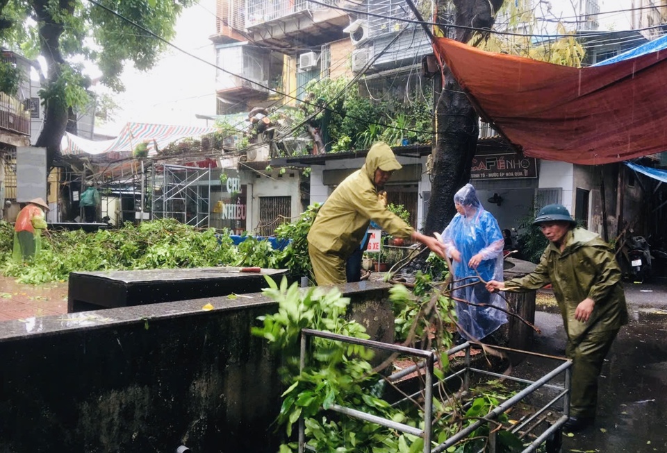 Ng&agrave;y 11/9, phường Thanh Xu&acirc;n Bắc (quận Thanh Xu&acirc;n) ph&aacute;t động to&agrave;n phường tự thu dọn c&agrave;nh c&acirc;y