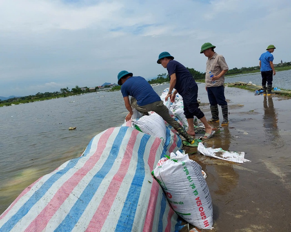 C&aacute;c lực lượng chức năng kiểm tra bờ k&egrave; tr&ecirc;n đ&ecirc; G&ograve; Khoăm. (ảnh chụp trưa 12/9).