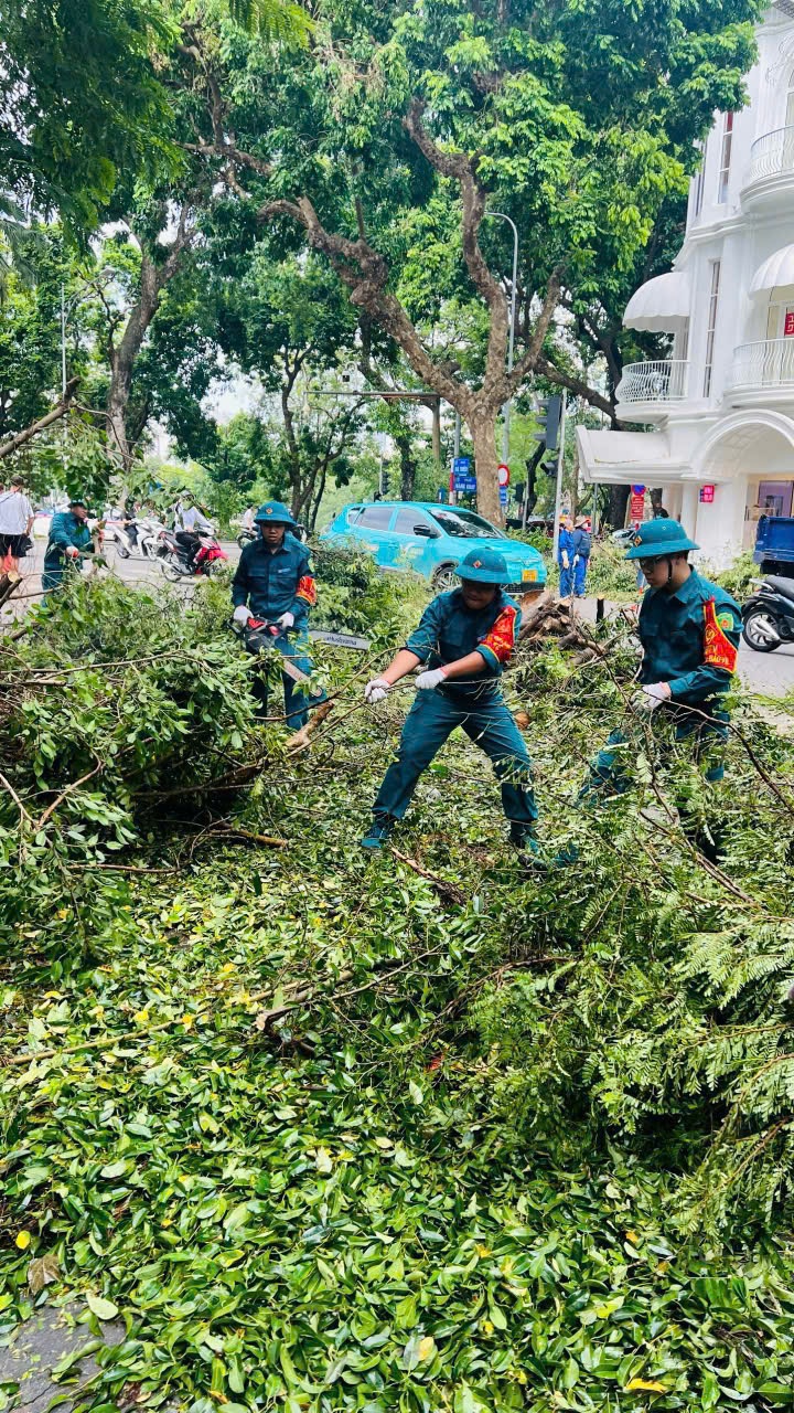 C&aacute;c lực lượng quận Nam Từ Li&ecirc;m hỗ trợ thu dọn c&acirc;y đổ tr&ecirc;n địa b&agrave;n quận Ho&agrave;n Kiếm