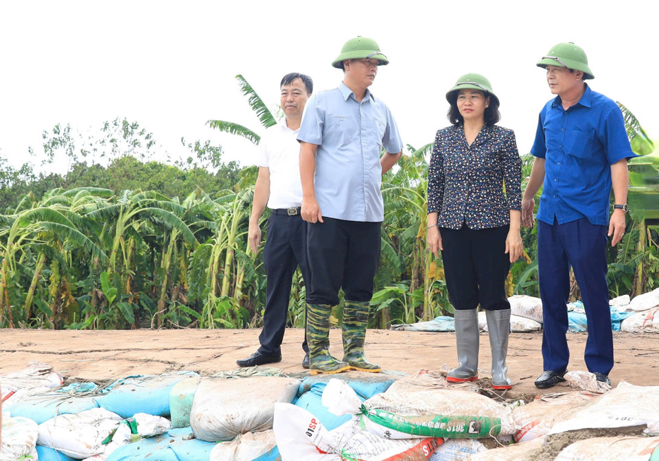 Ph&oacute; B&iacute; thư Thường trực Th&agrave;nh ủy H&agrave; Nội Nguyễn Thị Tuyến kiểm tra khu vực đ&ecirc; xung yếu tại x&atilde; Trung Ch&acirc;u (huyện Đan Phượng).&nbsp;