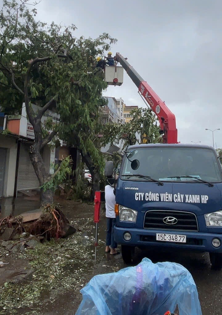 C&aacute;c đơn vị c&ugrave;ng v&agrave;o cuộc thu dọn c&acirc;y đổ. Ảnh: Vĩnh Qu&acirc;n