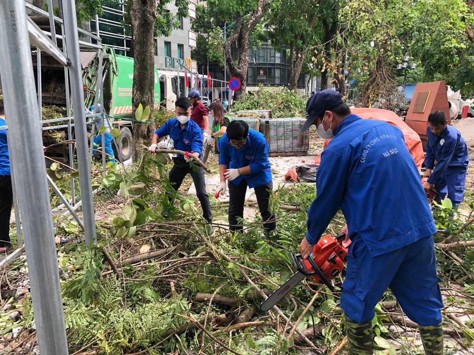 Đo&agrave;n vi&ecirc;n thanh ni&ecirc;n Quận Hai B&agrave; Trưng phối hợp c&ocirc;ng nh&acirc;n C&ocirc;ng ty C&ocirc;ng vi&ecirc;n c&acirc;y xanh H&agrave; Nội dọn dẹp c&acirc;y xanh gẫy, đổ do b&atilde;o số 3 tr&ecirc;n địa b&agrave;n