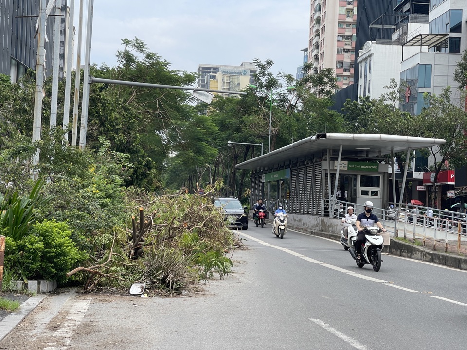 Đến thời điểm n&agrave;y, nhiều c&acirc;y xanh bị gẫy, đổ tr&ecirc;n địa b&agrave;n th&agrave;nh phố vẫn chưa được thu dọn.