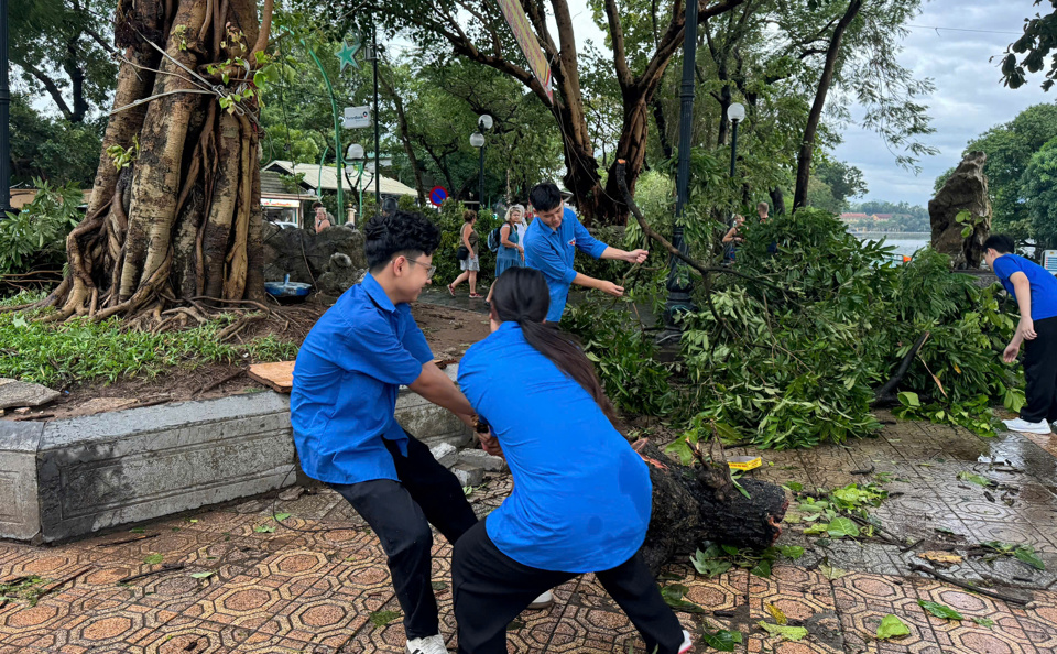 Đo&agrave;n Thanh ni&ecirc;n, lực lượng xung kh&iacute;ch tham gia hỗ trợ dọn dẹp, khắc phục c&acirc;y xanh gẫy đổ do ảnh hưởng của b&atilde;o số 3.