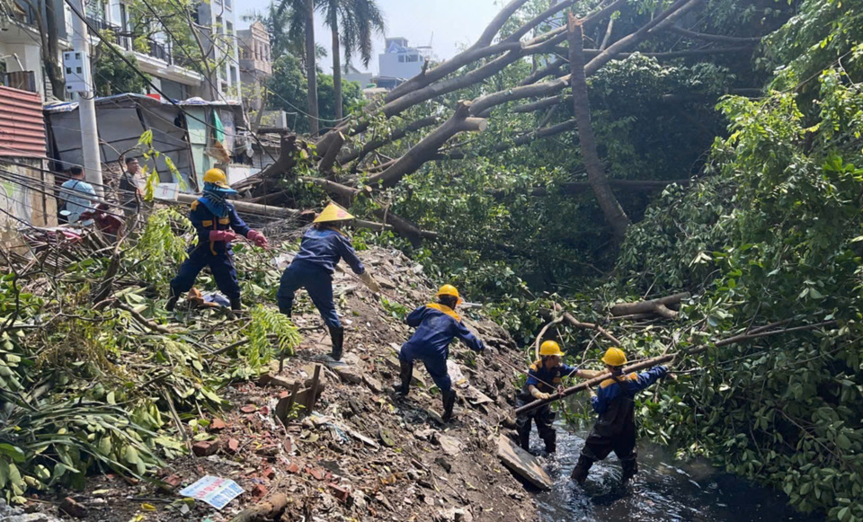 C&ocirc;ng nh&acirc;n tho&aacute;t nước phối hợp với phường Kim M&atilde;, quận Ba Đ&igrave;nh thu dọn, khắc phục sau b&atilde;o số 3 c&acirc;y đổ tr&ecirc;n mương Ngọc H&agrave;.