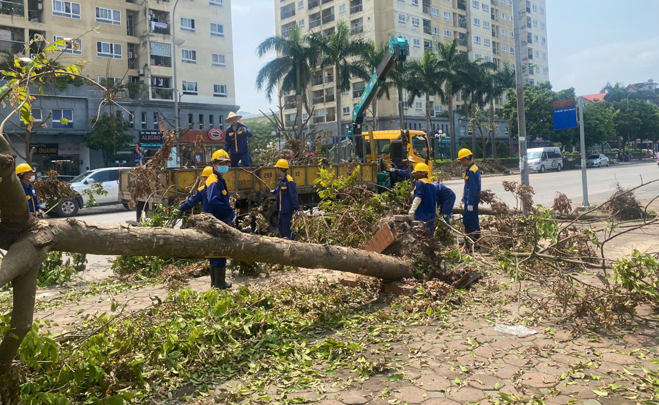 Ng&agrave;nh tho&aacute;t nước tham gia hỗ trợ di chuyển, xử l&yacute; c&acirc;y xanh gẫy đổ.