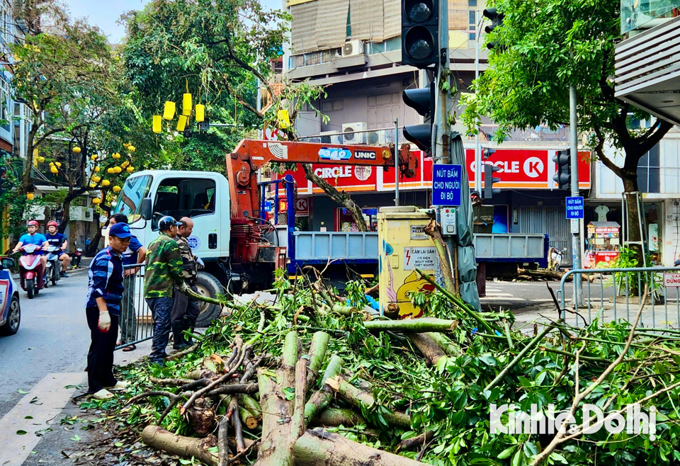 Người d&acirc;n thu dọn c&acirc;y đổ tại phố H&agrave;ng M&atilde; (quận Ho&agrave;n Kiếm, TP H&agrave; Nội).