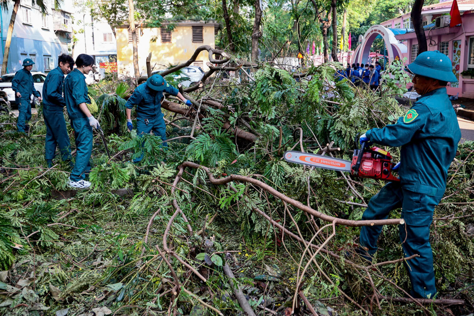 Dọn dẹp c&acirc;y đổ l&agrave; phần việc nặng nề nhất