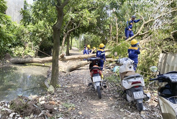 X&iacute; nghiệp Tho&aacute;t nước số 5 thu dọn c&acirc;y đổ tại đường An Đ&agrave;o, thị trấn Tr&acirc;u Quỳ.