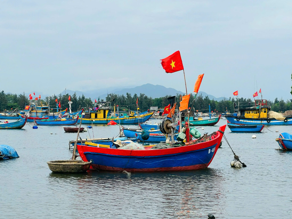 Nghi&ecirc;n cứu phương &aacute;n x&acirc;y dựng cảng c&aacute; s&ocirc;ng Tr&agrave; Bồng l&agrave; cảng c&aacute; vệ tinh thuộc cảng c&aacute; Sa Cần.