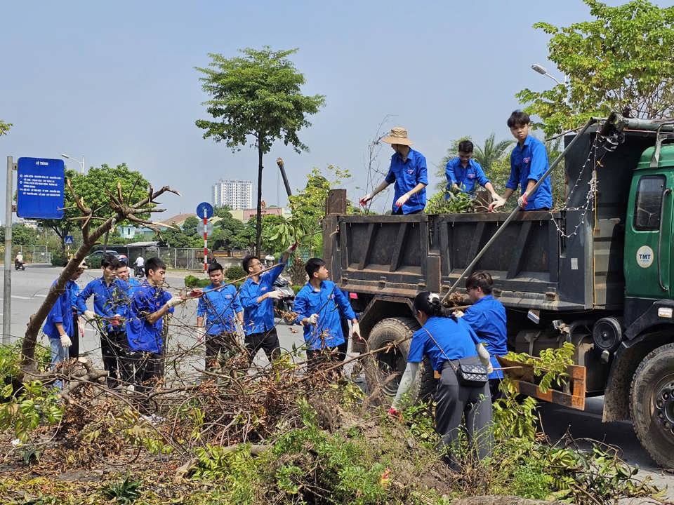 Sinh vi&ecirc;n Trường Đại học Sư phạm 2 tham gia dọn dẹp c&agrave;nh c&acirc;y g&atilde;y, đổ sau b&atilde;o - Ảnh: Hội SVHN