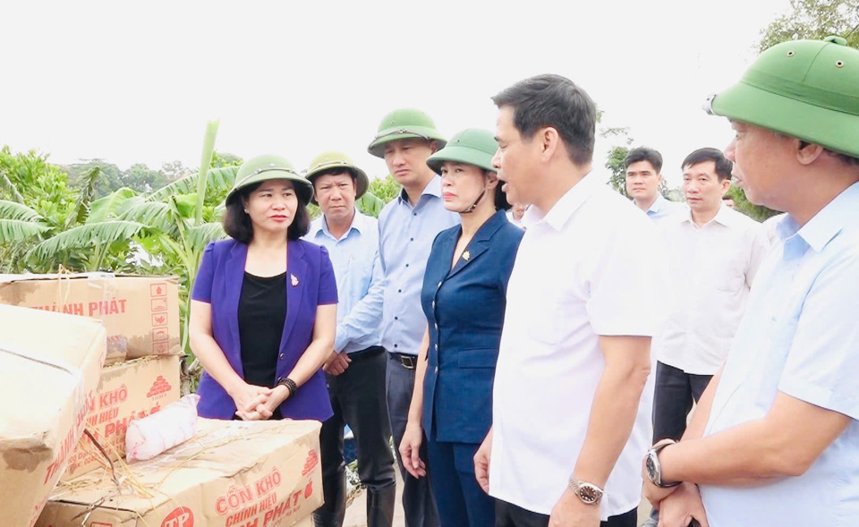 Ph&oacute; B&iacute; thư Thường trực Th&agrave;nh ủy Nguyễn Thị Tuyến kiểm tra c&ocirc;ng t&aacute;c ph&ograve;ng, chống b&atilde;o lũ tại th&ocirc;n Đồng Chi&ecirc;m, x&atilde; An Ph&uacute; (huyện Mỹ Đức).