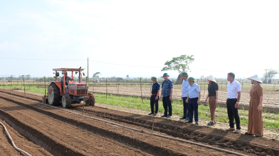 M&aacute;y m&oacute;c được huy động để tập trung l&agrave;m đất, chuẩn bị v&agrave;o vụ rau mới.