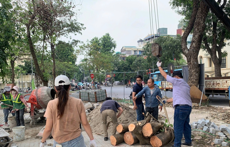 Ban Quản l&yacute; dự &aacute;n đầu tư x&acirc;y dựng Quận Hai B&agrave; Trưng bố tr&iacute; lực lượng c&ugrave;ng c&aacute;c đơn vị li&ecirc;n quan thực hiện&nbsp;thu dọn c&acirc;y, c&agrave;nh, l&aacute; tổng vệ sinh sau cơn b&atilde;o số 3 tại khu vực phố Quang Trung (phường Nguyễn Du)