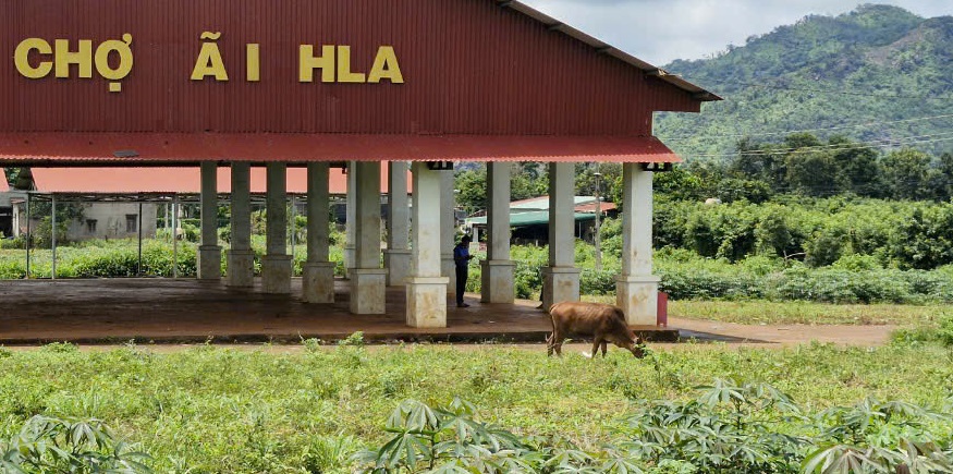 Chợ xã Ia Hla khang trang thành nơi chăn bò