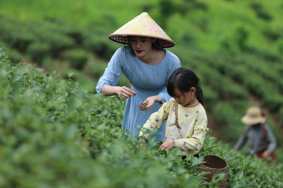 Du lịch n&ocirc;ng nghiệp được dự b&aacute;o sẽ c&oacute; sức lan tỏa mạnh mẽ v&agrave; c&oacute; th&ecirc;m nhiều động lực ph&aacute;t triển trong thời gian tới. Ảnh minh hoạ