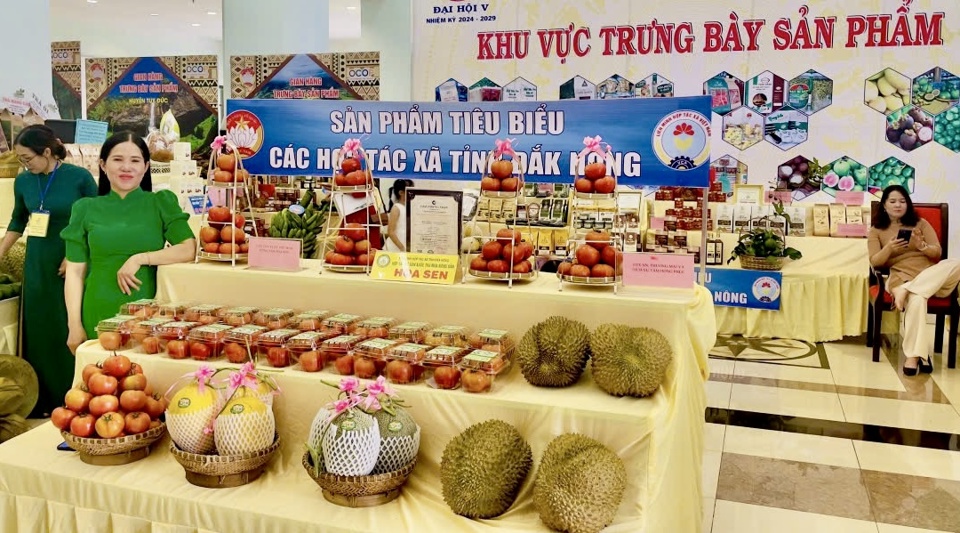 Đắk N&ocirc;ng hiện có 96 sản phẩm đạt chứng nhận OCOP.