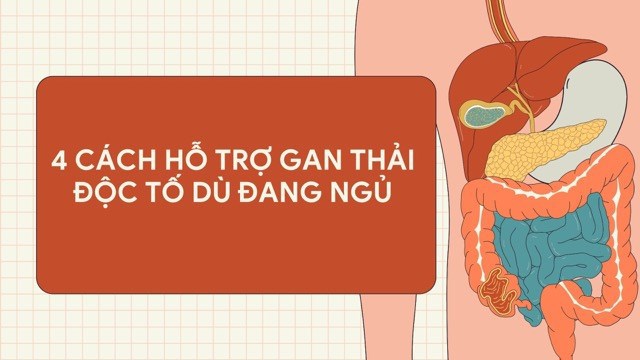 4 c&aacute;ch thải độc gan tốt ngay cả khi đi ngủ. Ảnh gh&eacute;p: HƯƠNG SƠN