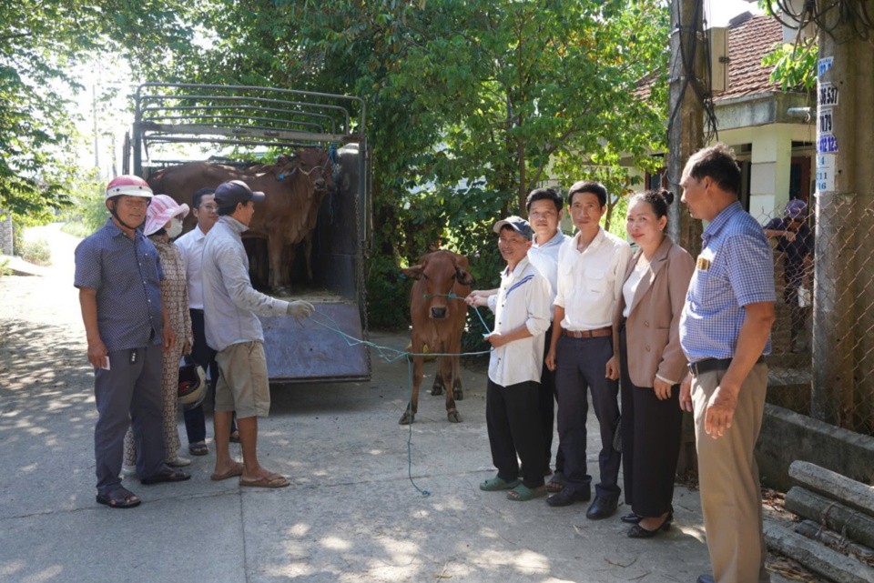 &nbsp;Ch&iacute;nh quyền thị trấn Chợ Ch&ugrave;a trao hỗ trợ b&ograve; giống cho hộ ngh&egrave;o