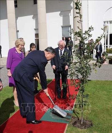 Tổng B&iacute; thư, Chủ tịch nước T&ocirc; L&acirc;m trồng c&acirc;y lưu niệm tại Phủ Tổng thống Ireland. Ảnh:&nbsp; TTXVN