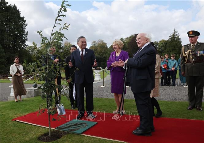 Tổng thống Ireland Michael D. Higgins c&ugrave;ng Phu nh&acirc;n v&agrave; Tổng B&iacute; thư, Chủ tịch nước T&ocirc; L&acirc;m tại lễ trồng c&acirc;y. Ảnh: TTXVN