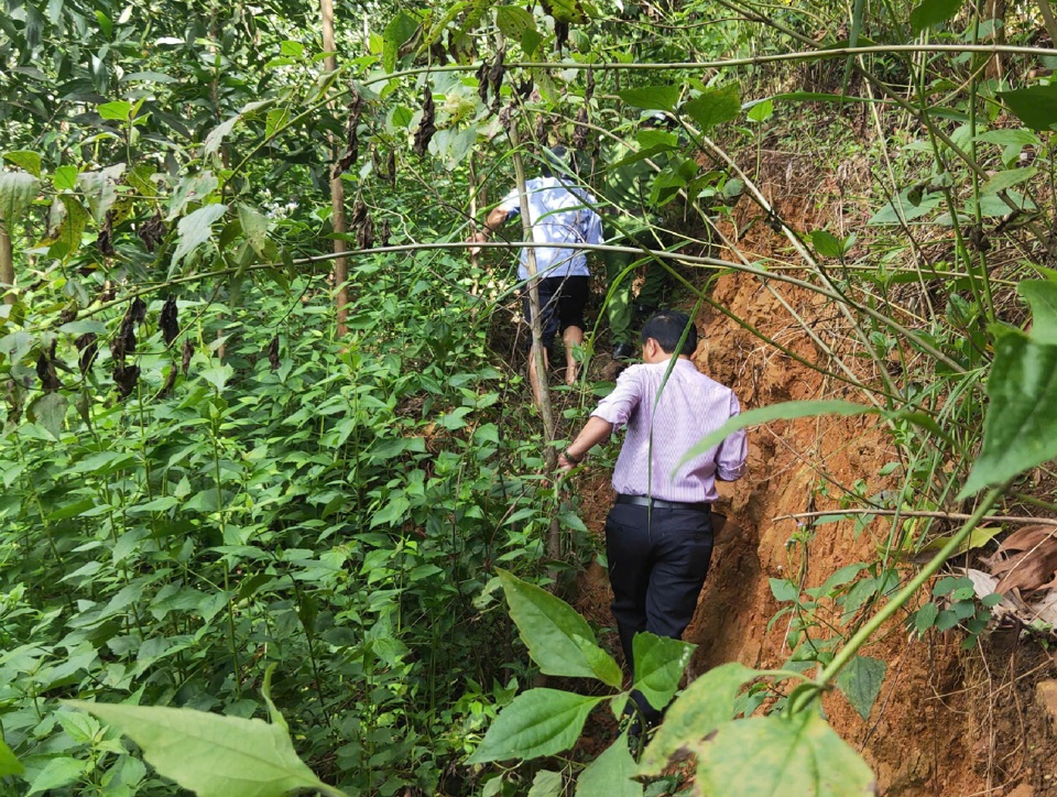 V&ecirc;́t nứt, sạt có nơi&nbsp;đã cao quá&nbsp;đ&acirc;̀u người.