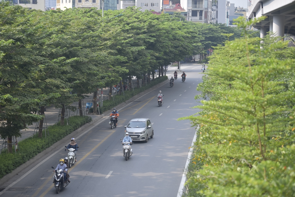 Người d&acirc;n chọn mua c&acirc;y xanh tr&ecirc;n phố Ho&agrave;ng Hoa Th&aacute;m, H&agrave; Nội.