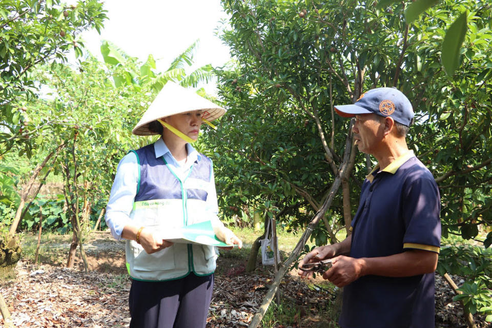 Giám đốc Trung tâm Khuyến nông Hà Nội Vũ Thị Hương thăm hỏi, hướng dẫn kỹ thuật cho hộ trồng cây ăn quả tại xã Hòa Nam (huyện Ứng Hòa). Ảnh: Thu Phượng