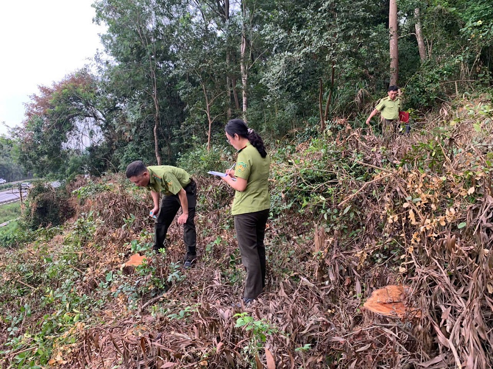 Cơ quan chức năng v&agrave;o cuộc kiểm tra, x&aacute;c minh.