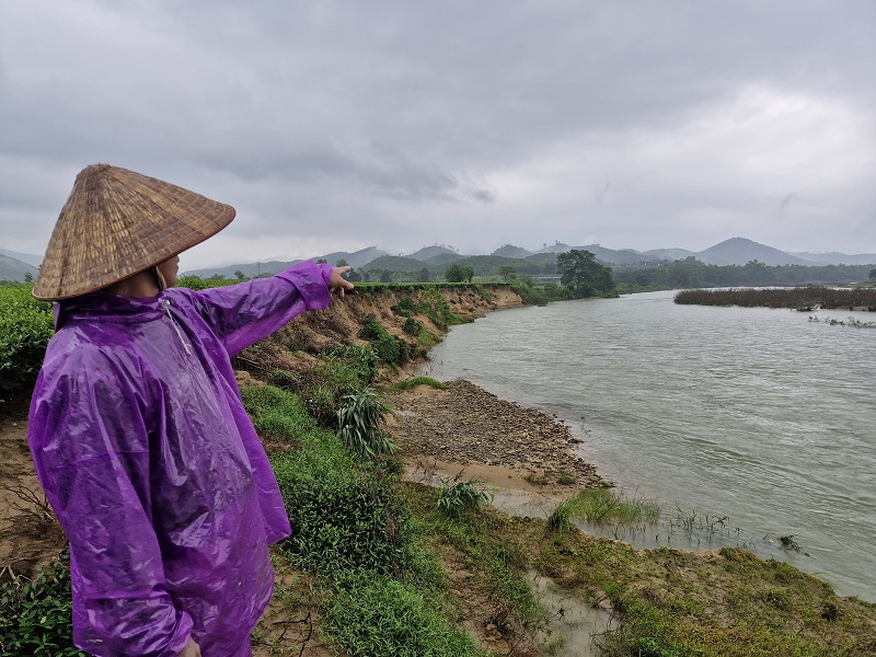 "X&iacute; nghiệp lu&ocirc;n tuy&ecirc;n truyền, cảnh b&aacute;o người d&acirc;n theo d&otilde;i diễn biến thời tiết, thu hoạch ch&egrave; trong m&ugrave;a mưa lũ cần đảm bảo an to&agrave;n. V&igrave; những vị tr&iacute; sạt lở s&ocirc;ng rất s&acirc;u, bờ đất sạt lở thường cao từ 5-7m v&agrave; đ&atilde; xuất hiện th&ecirc;m nhiều vết nứt k&eacute;o d&agrave;i h&agrave;ng trăm m&eacute;t rất nguy hiểm" đại diện l&atilde;nh đạo X&iacute; nghiệp ch&egrave; T&acirc;y Sơn th&ocirc;ng tin&nbsp;